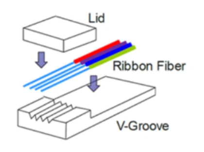 Schematic Diagram of Fiber FA Structure (Image Source: Internet) Schematic Diagram of Fiber FA Structure (Image Source: Internet)