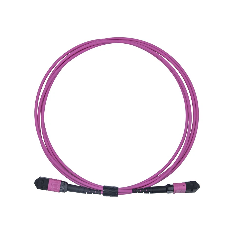 3m LSZH OM4 12-Core Multimode Fiber Optic MPO Patch Cord