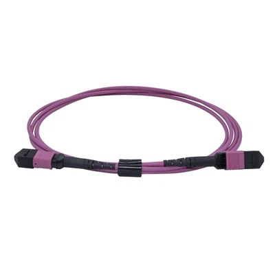 3 m LSZH OM4 12-Core Multimode-Glasfaser-MPO-Patchkabel